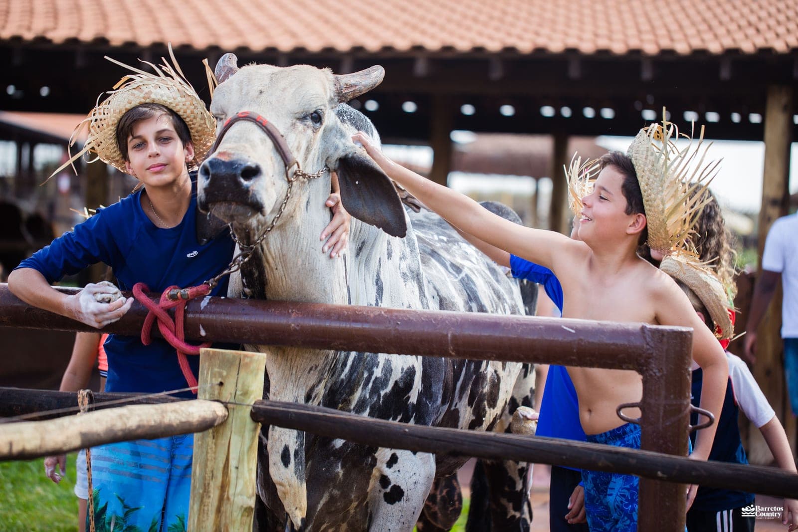Animais da Fazendinha do Barretos Country